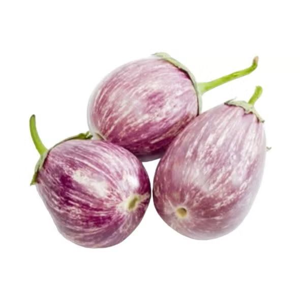Purple Brinjal بینگن (جامنی) Hybrid F1 Premium Seeds