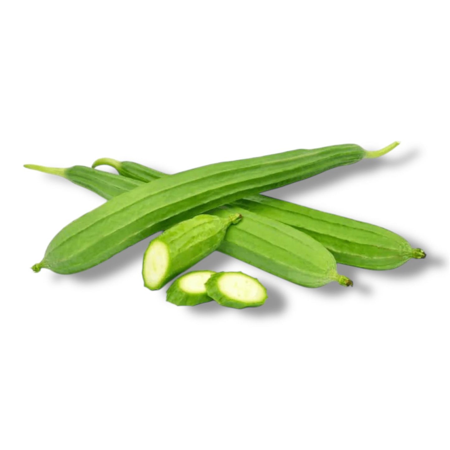 Ridge Gourd (توری) Hybrid F1 Premium Seeds