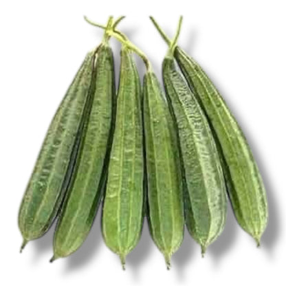 Ridge Gourd (توری) Hybrid F1 Premium Seeds