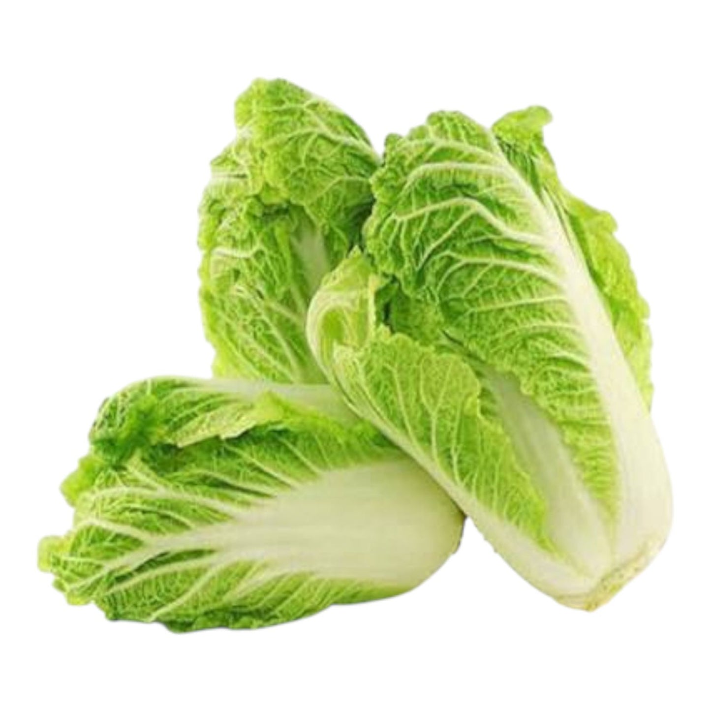 Chinese Cabbage White (F1 Hybrid ) Seeds