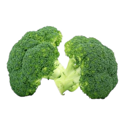 Broccoli (بروکلی) Hybrid F1 Seeds - Al-Raei Garden (Premium Quality)