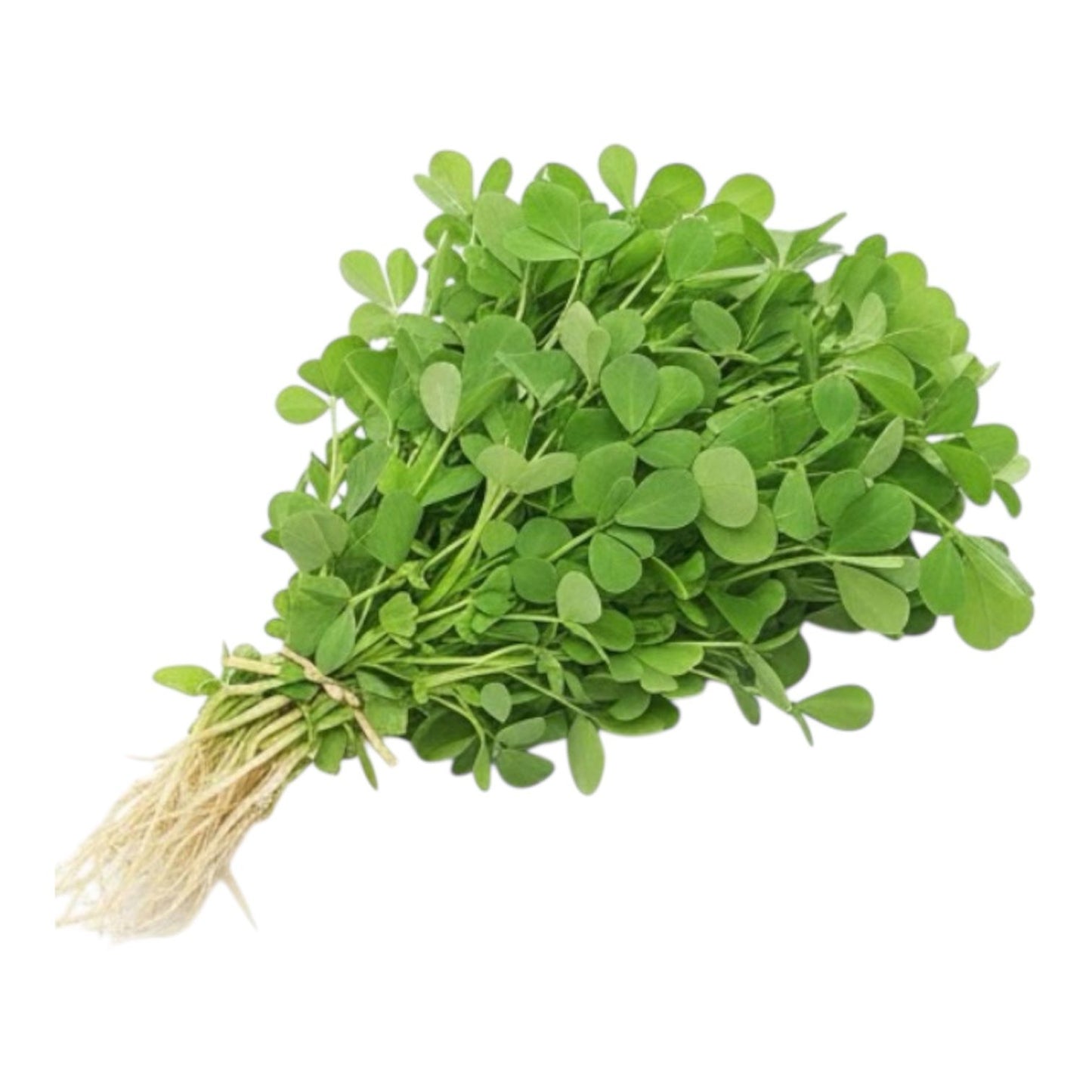Methree Seeds (Fenugreek میتھرے) Premium Quality