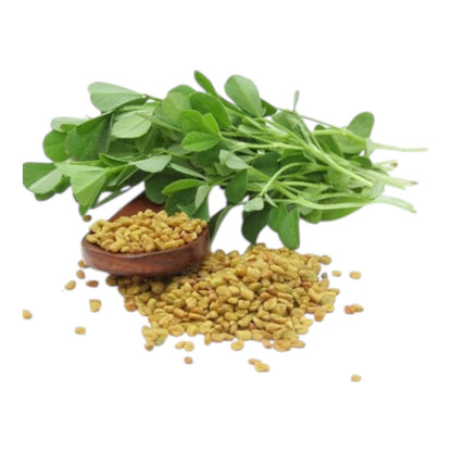 Methree Seeds (Fenugreek میتھرے) Premium Quality