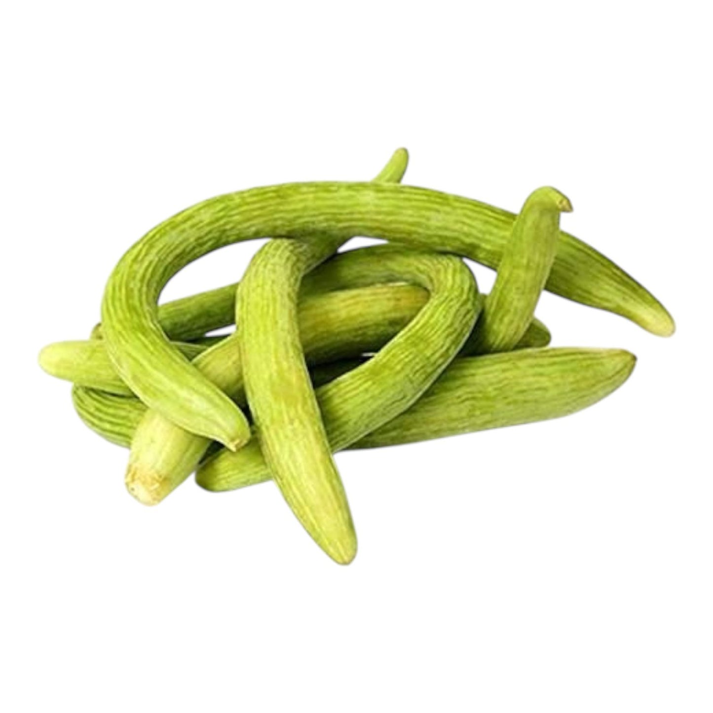 Al-Raei Premium TAR (تر)  Seeds – Premium Quality,