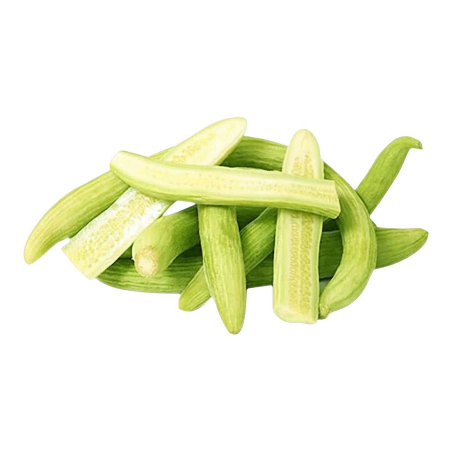 Al-Raei Premium TAR (تر)  Seeds – Premium Quality,