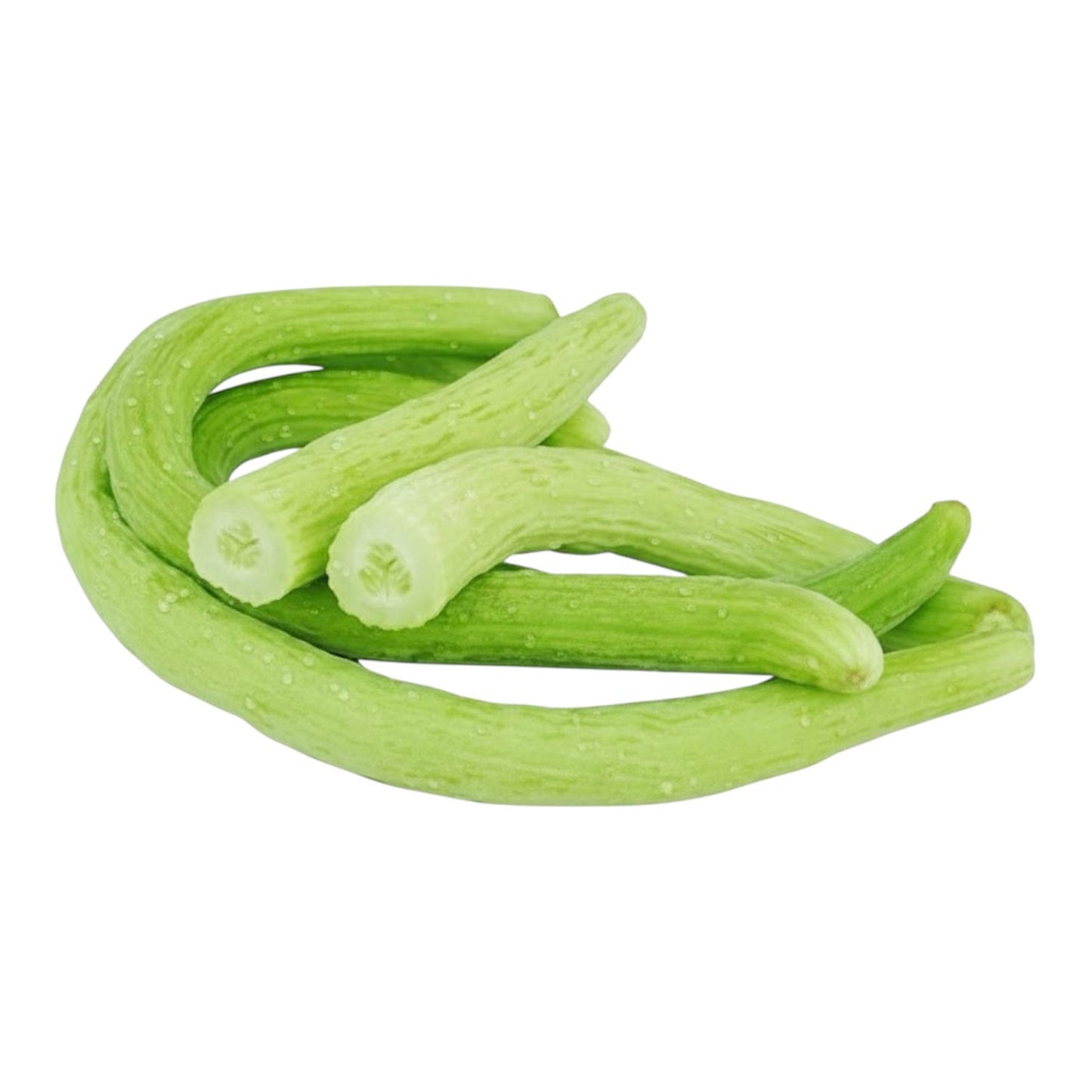 Al-Raei Premium TAR (تر)  Seeds – Premium Quality,