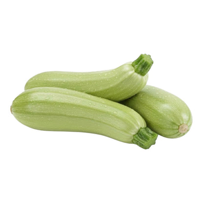 Al-Raei Squash Long (مارو کدو) Hybrid F1 premium Seeds