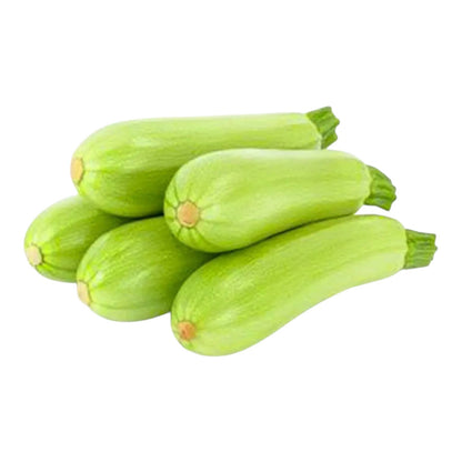 Al-Raei Squash Long (مارو کدو) Hybrid F1 premium Seeds