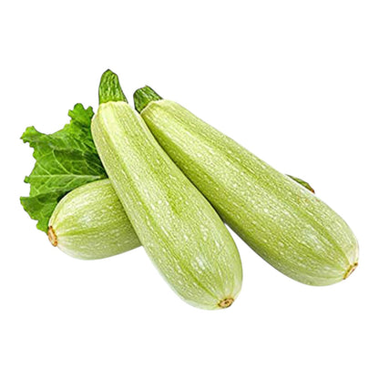 Al-Raei Squash Long (مارو کدو) Hybrid F1 premium Seeds