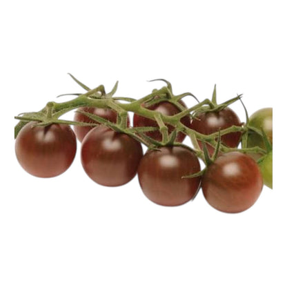 Al-Raei Tomato Brown Cherry (براؤن چیری ٹماٹر) Hybrid F1 Seeds