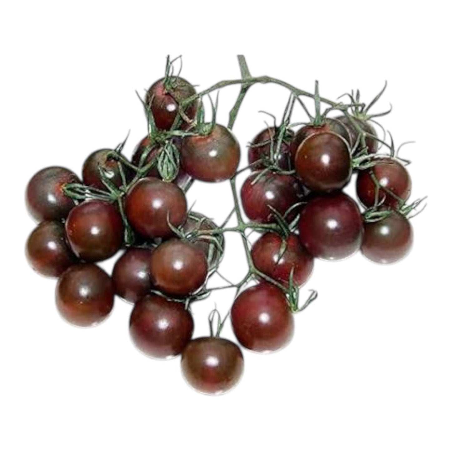 Al-Raei Tomato Brown Cherry (براؤن چیری ٹماٹر) Hybrid F1 Seeds