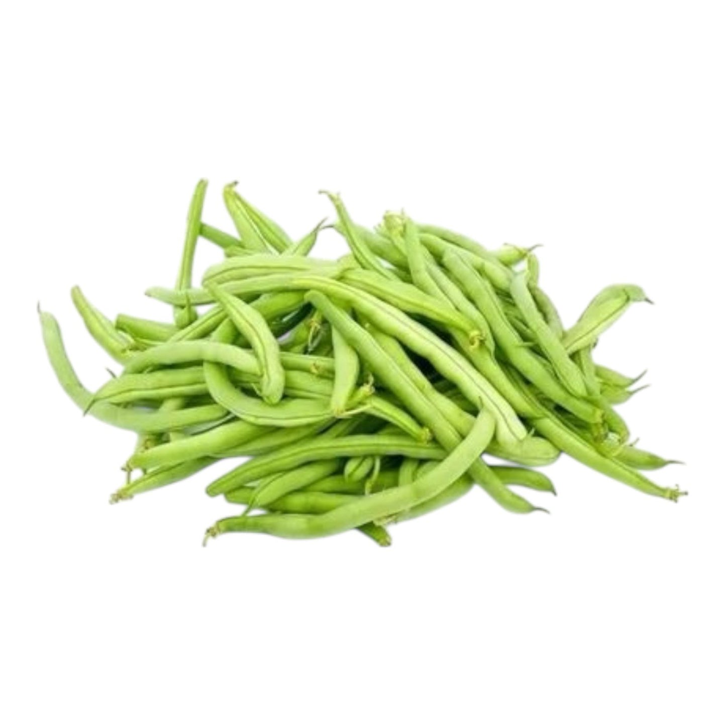 Al-Raei Moongra (مونگرے) Premium Seeds