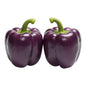 Sweet Purple Pepper Seeds (پرپل مرچ) Hybrid F1 Premium Seeds