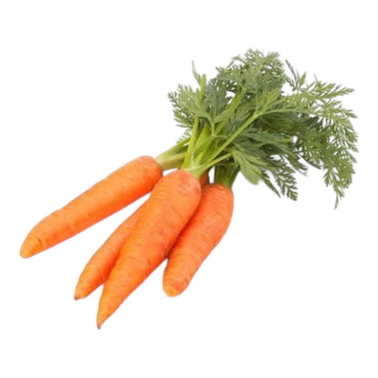 Al-Raei Orange Carrot Seeds (نارنجی گاجر)  Hybrid F1 | Premium Non-GMO Vegetable Seeds