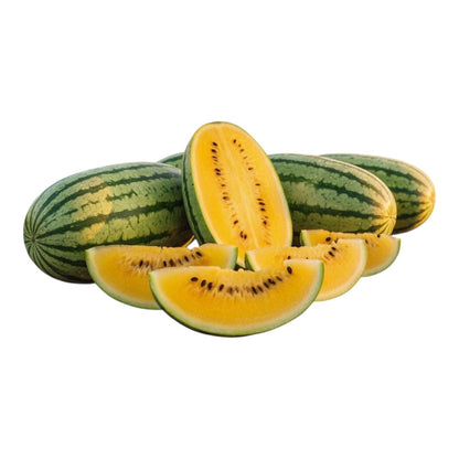Al-Raei Yellow Watermelon (پیلا تربوز) Hybrid F1 Seeds