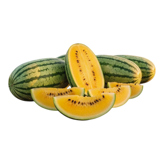 Al-Raei Yellow Watermelon (پیلا تربوز) Hybrid F1 Seeds