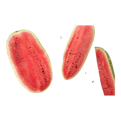 Al-Raei Watermelon (تربوز سرخ) Hybrid F1 Seeds