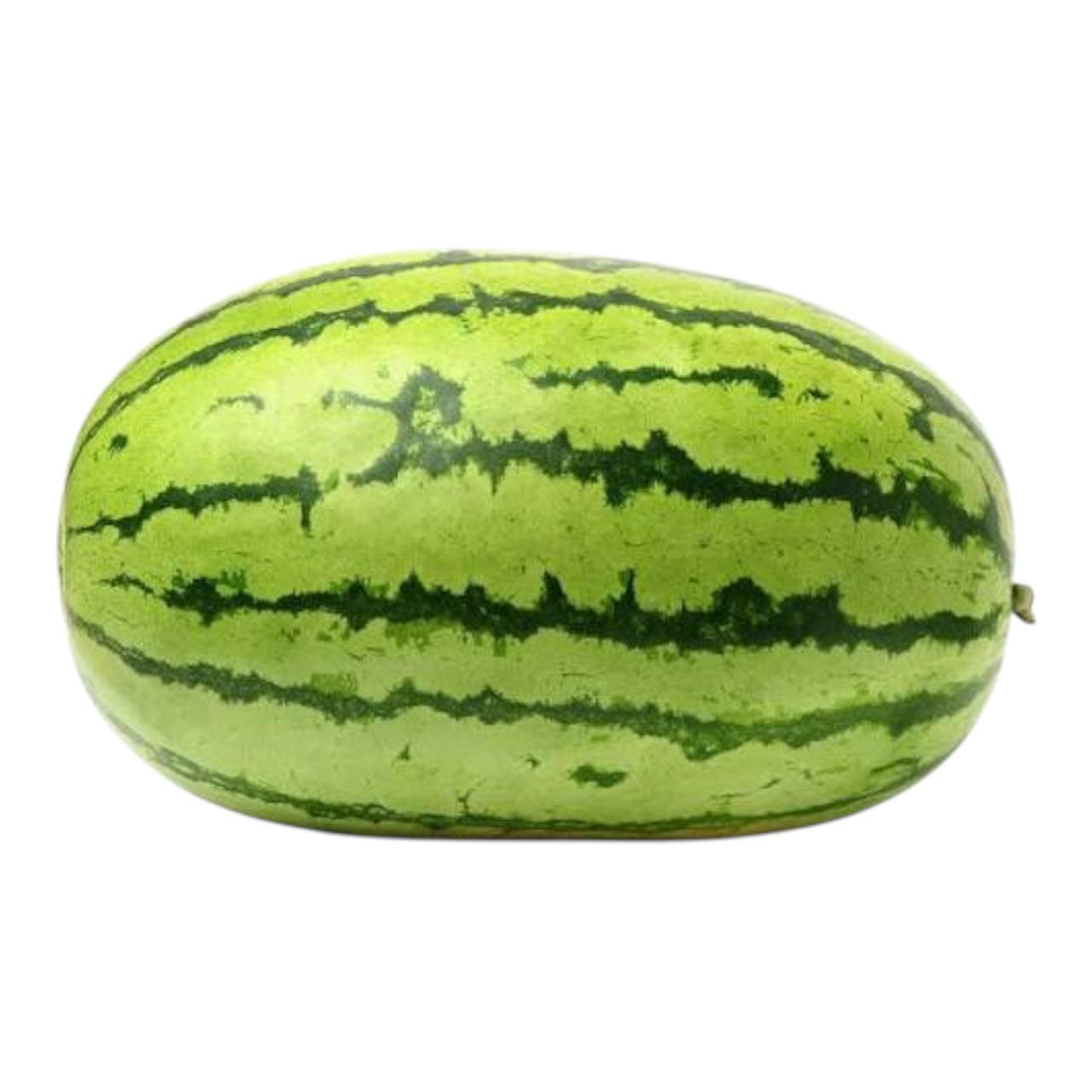 Al-Raei Watermelon (تربوز سرخ) Hybrid F1 Seeds