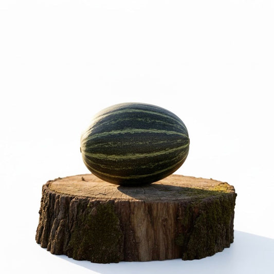 Pumpkin Long Hybrid F1 Seeds – Premium Quality | Al-Raei Seeds