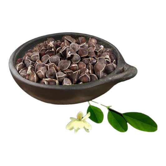 Al-Raei Premium Moringa (سوہانجنا) Seeds