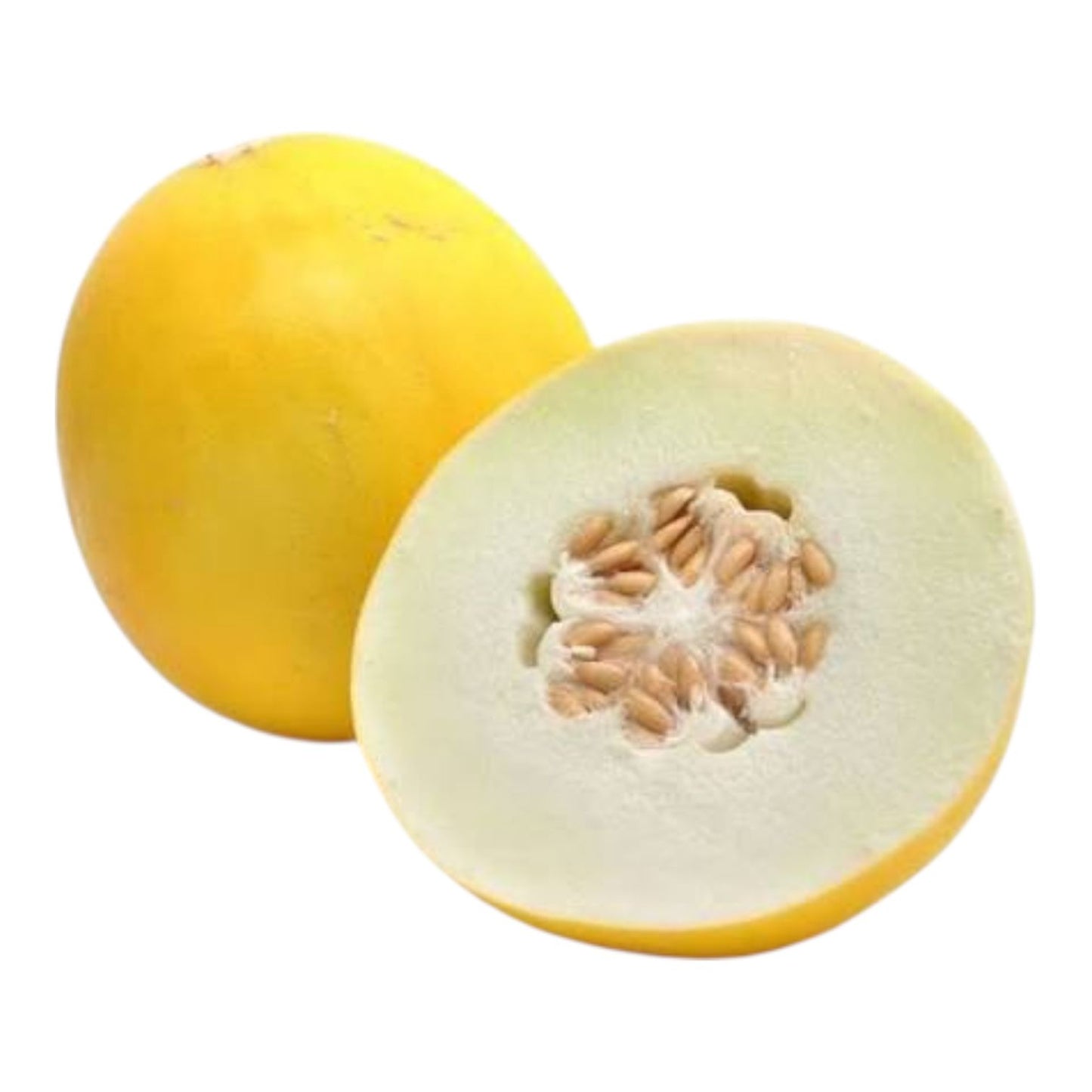 Melon Honey (خربوزہ) Hybrid F1 – Al-Raei Seeds