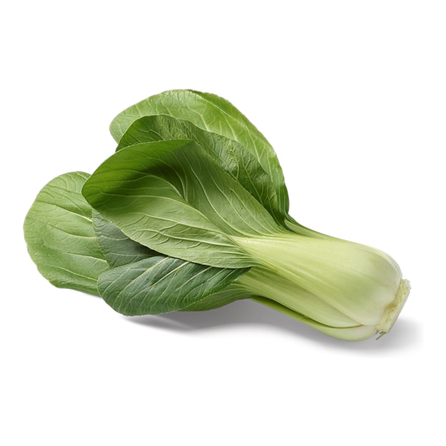 pak Choi (بوک چائے) Hybrid F1 Seeds – Premium Quality | Al-Raei Seeds