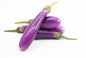Brinjal Purple Long (لمبا ارغوانی بینگن) Hybrid F1 Seeds | Al-Raei Premium Quality