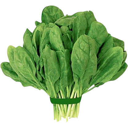 Baby Spinach Seeds | Al-Raei Premium Vegetable Seeds
