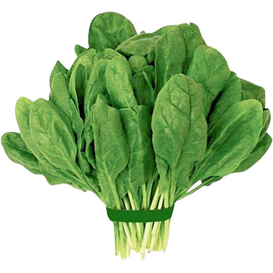 Baby Spinach Seeds | Al-Raei Premium Vegetable Seeds