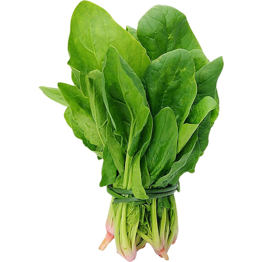 Baby Spinach Seeds | Al-Raei Premium Vegetable Seeds