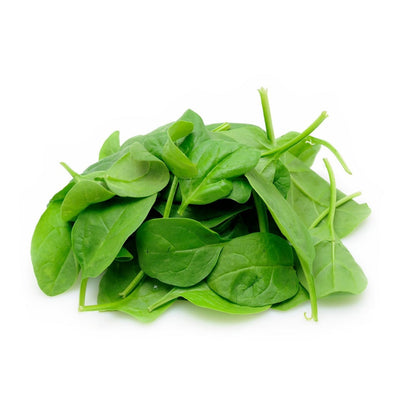 Baby Spinach Seeds | Al-Raei Premium Vegetable Seeds
