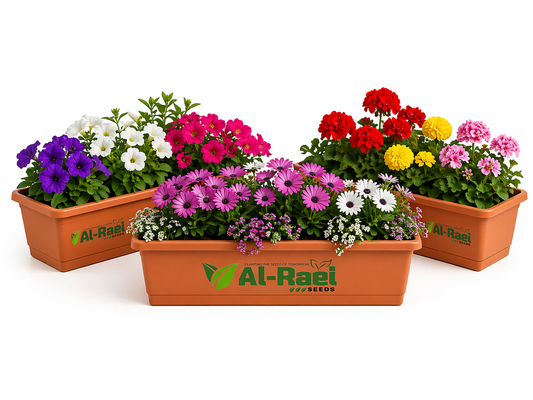 Kyari Pot 17 Inch – Medium Durable Garden Planter