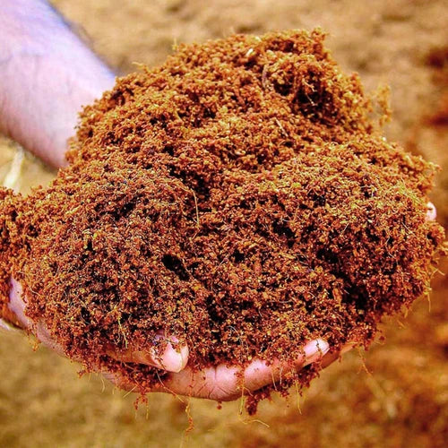Cocopeat Brick 500G