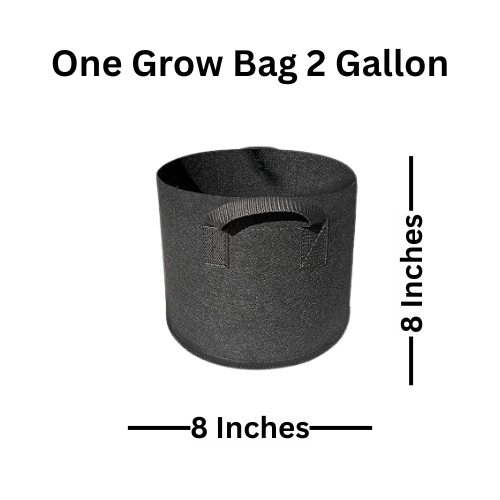 Fabric Grow Bags (8X8 Inches)