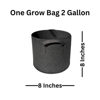 Fabric Grow Bags (8X8 Inches)