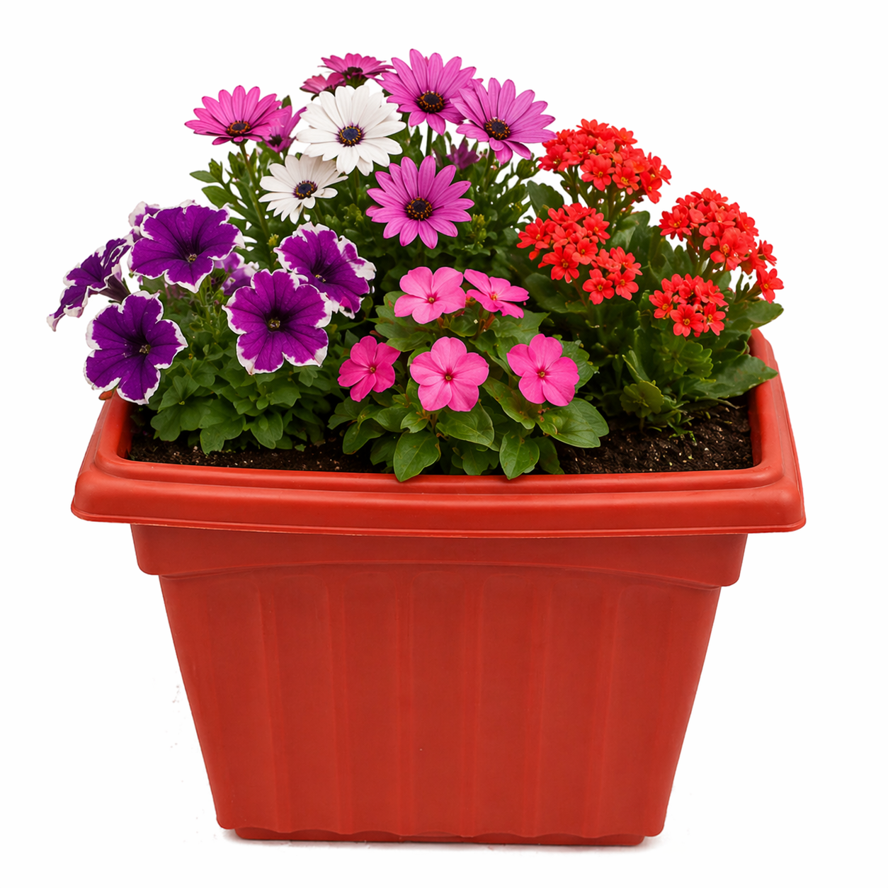 Kyari Pot 7.5 Inch | Small Durable Garden Planter
