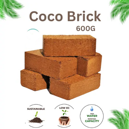 Cocopeat Brick 500G