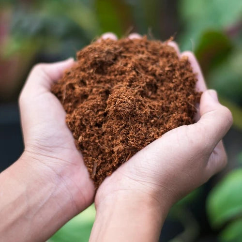 Imported Cocopeat 5kg Block