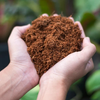 Imported Cocopeat 5kg Block