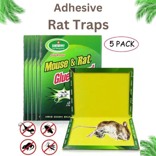 Adhesive Rat Traps (5 PCS)