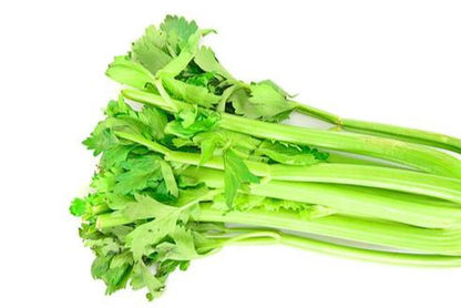 Celery Hybrid F1 Seeds – Premium Quality