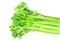 Celery Hybrid F1 Seeds – Premium Quality