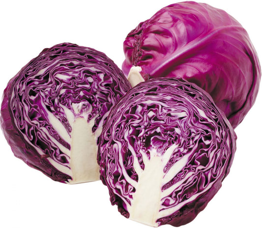 Red Cabbage Seeds – Premium Variety for Fresh Salads & High-Yield Farming