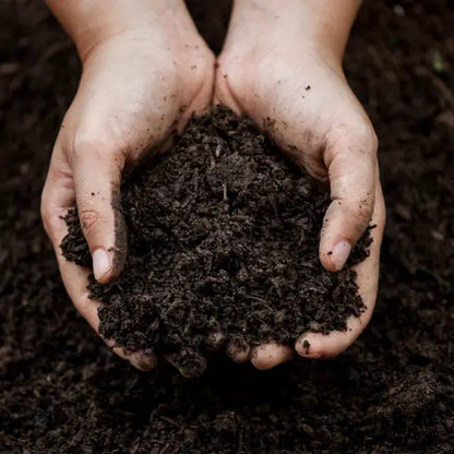 Bio Leaf Compost