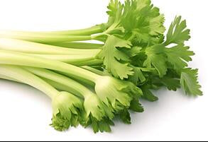 Celery Hybrid F1 Seeds – Premium Quality