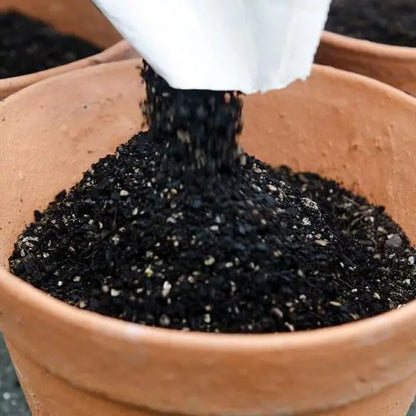 Black Elixer Organic Compost | Best Potting Mix & Seed Starter
