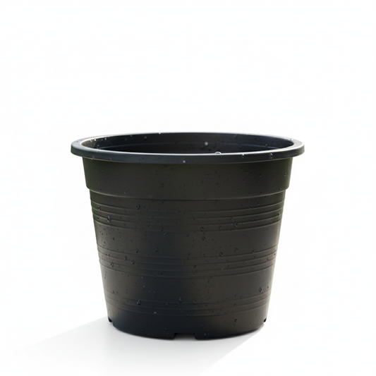 Plastic Pots 8 inch Black